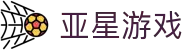 亚星游戏 (国际)官方网站